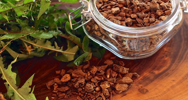 dandelion-root dandelion root