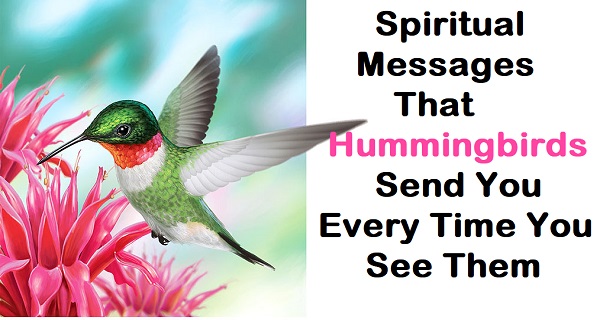 8 Spiritual Messages Hummingbirds Are Trying To Send You