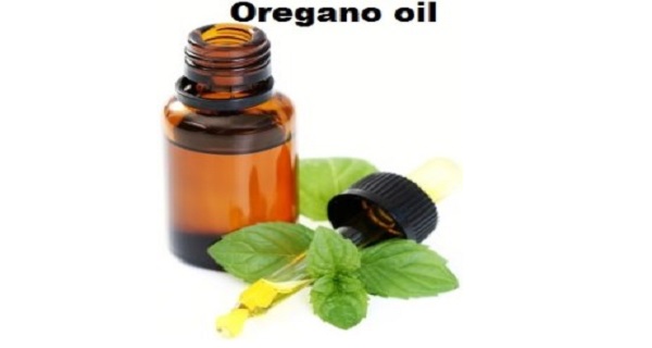 oil of wild oregano
