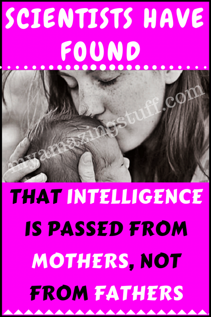 Scientists Have Found That Intelligence Is Passed From Mothers, Not From Fathers