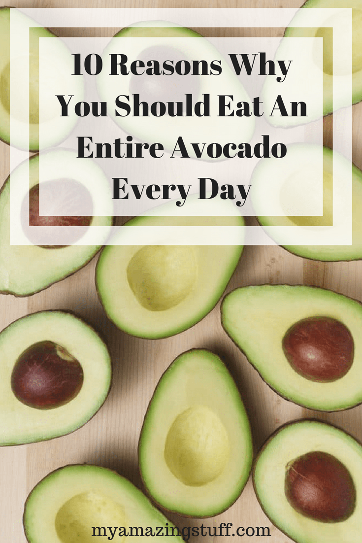 10 Reasons Why You Should Eat An Entire Avocado Every Day – My Amazing ...