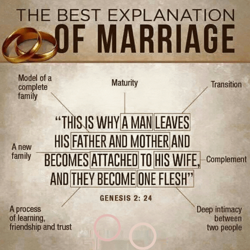 Marriage Explained In One Bible Verse My Amazing Stuff 7320