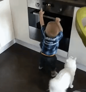 When a cat can be trusted to raise a child