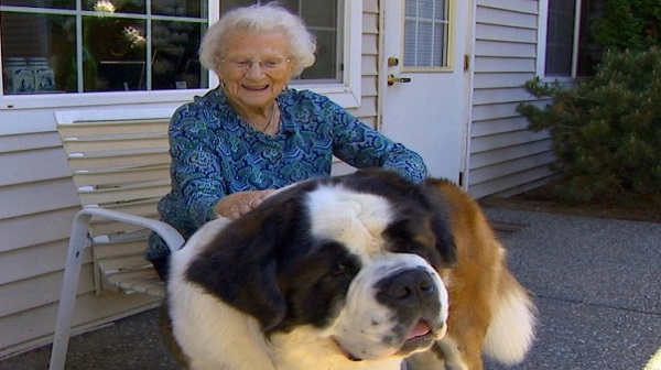 2-year-old sweet floppy dog meets 95-year-old and they can’t be separated